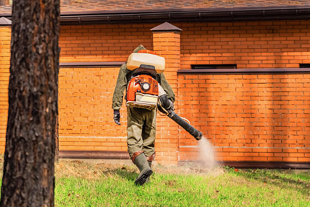 Trusted Rodent Control service in Falcon Heights, MN - Nex Pest Control